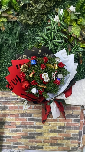 KOKİNA YILBAŞI ÇİÇEĞİ LÜX