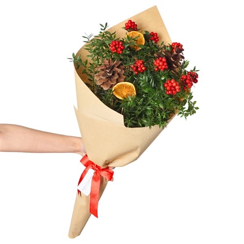 KOKİNA YILBAŞI ÇİÇEĞİ