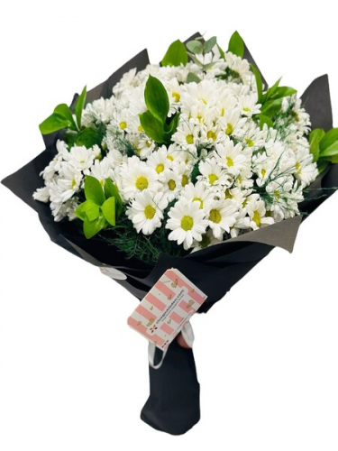 Kucak Dolusu Papatya